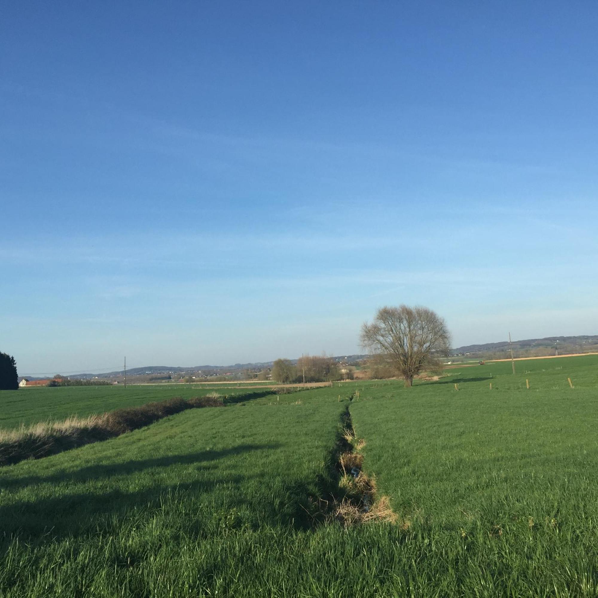 La Maison D'Arc Frasnes-lez-Anvaing Kültér fotó